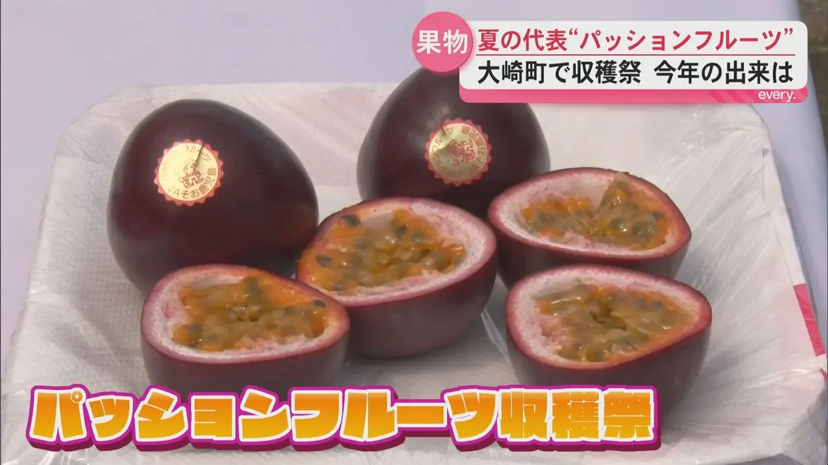 日テレNEWS NNN 5月13日(水) 19:14 「バランスがいい」甘酸っぱい
