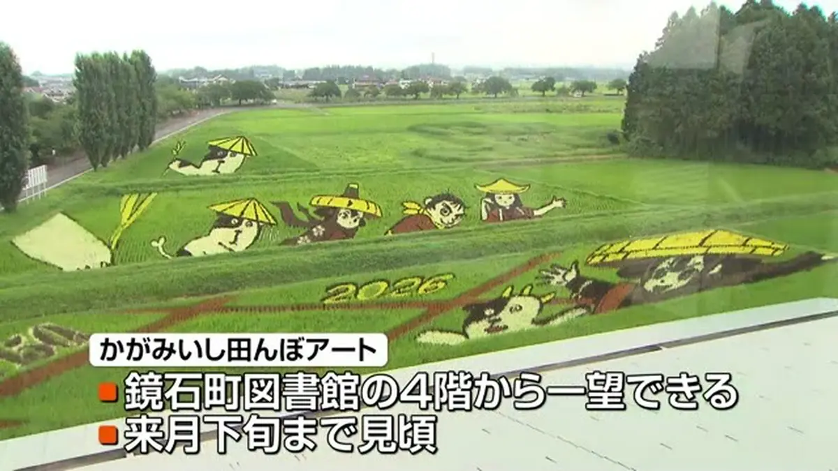 日テレNEWS NNN 7月24日(金) 18:36 鏡石町の田んぼアートが見ごろ 色