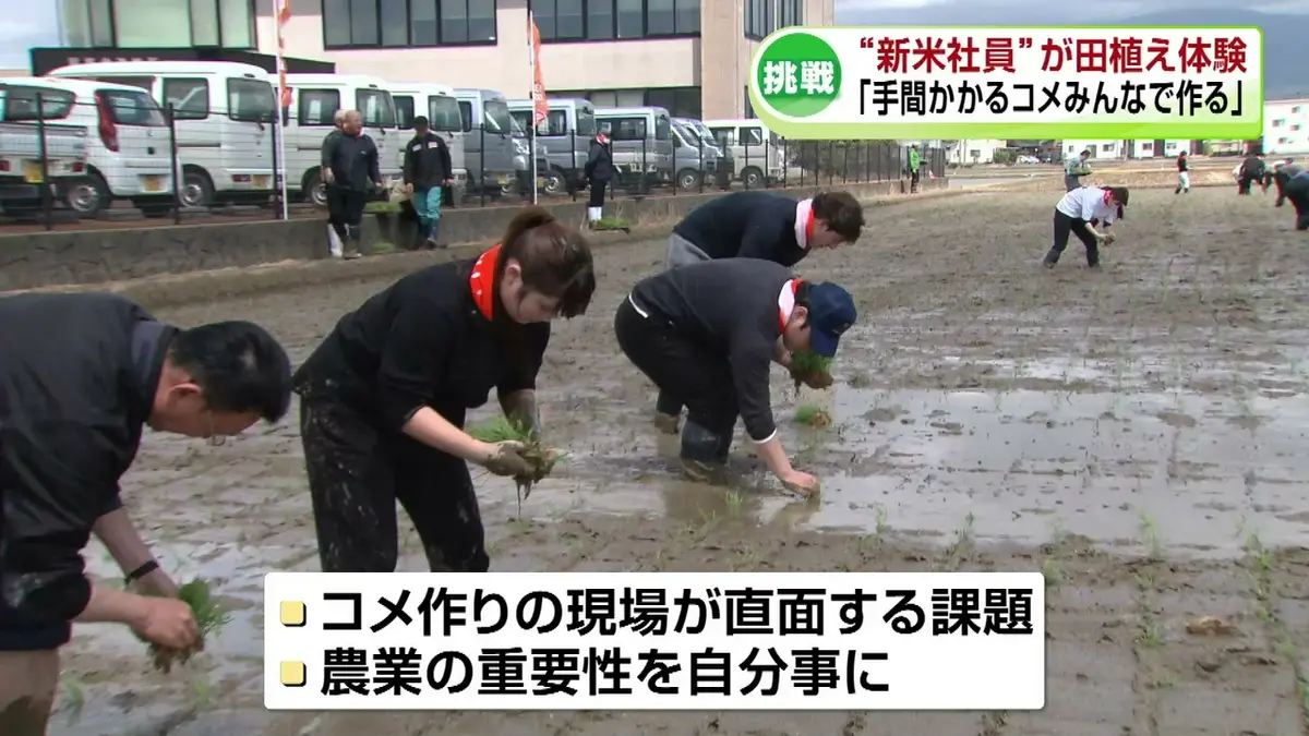 日テレNEWS NNN 5月13日(水) 6:50 米菓メーカー亀田製菓の“新米社員”が