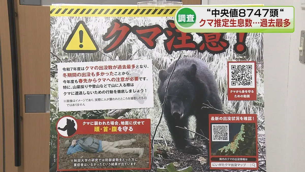 日テレNEWS NNN 6月10日(水) 20:10 県内のクマ生息数は過去最多の8000