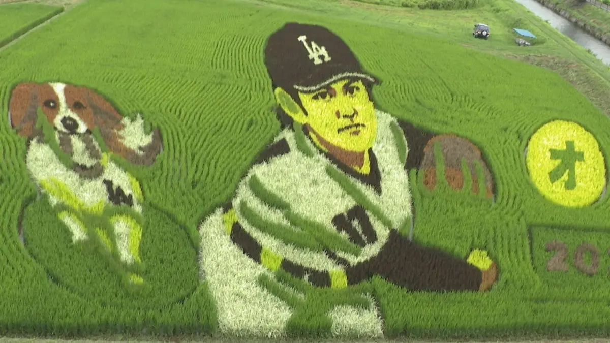 日テレNEWS NNN 7月28日(火) 0:00 「ことしは剛速球だ！」大谷翔平の