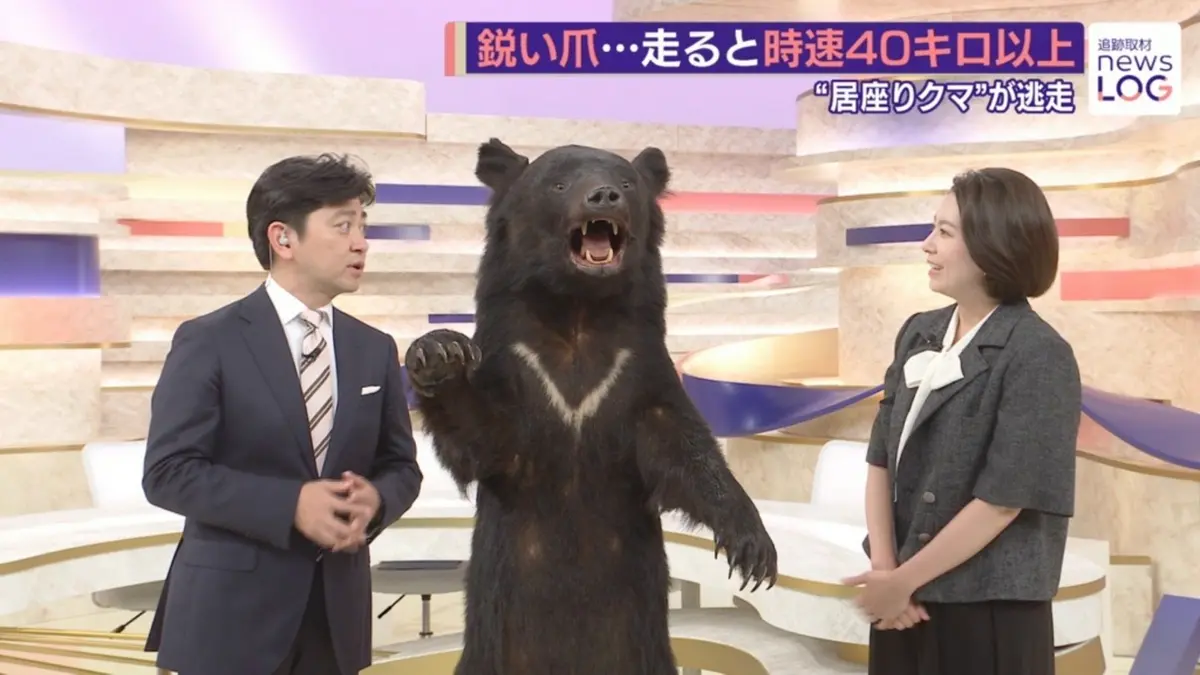 くまっち様確認専用ページ【取り置き中　4月6日迄】 追跡取材 news LOG 6月6日(土)放送分 ”車で撃退”男性証言…逃走中4人