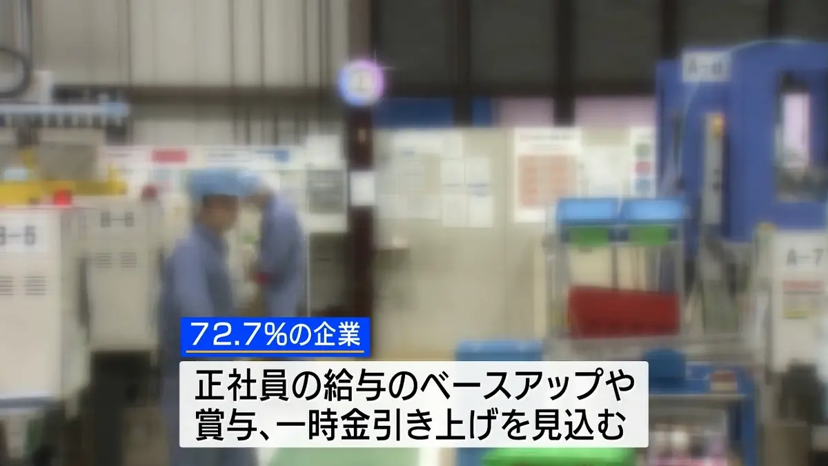 日テレNEWS NNN 5月22日(金) 19:09 72.7%の企業「賃金改善」見込む