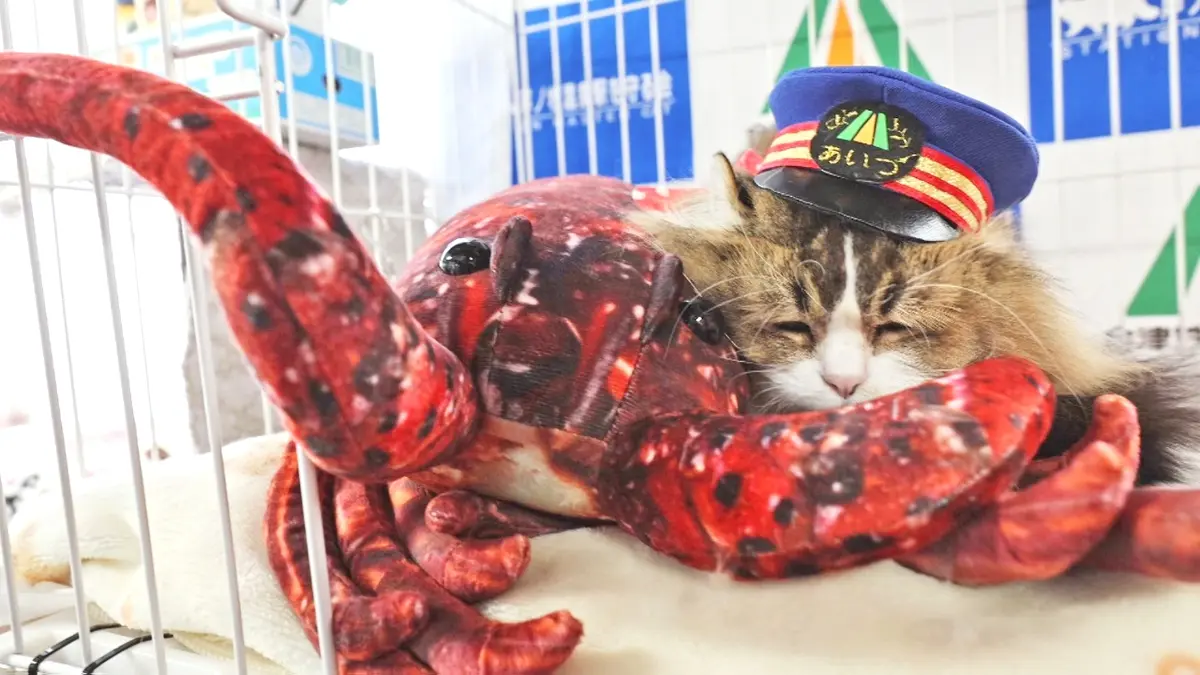 ふにゃ～り日和 1月6日(火)放送分 Vol.93 冬の過ごし方を教えるにゃ