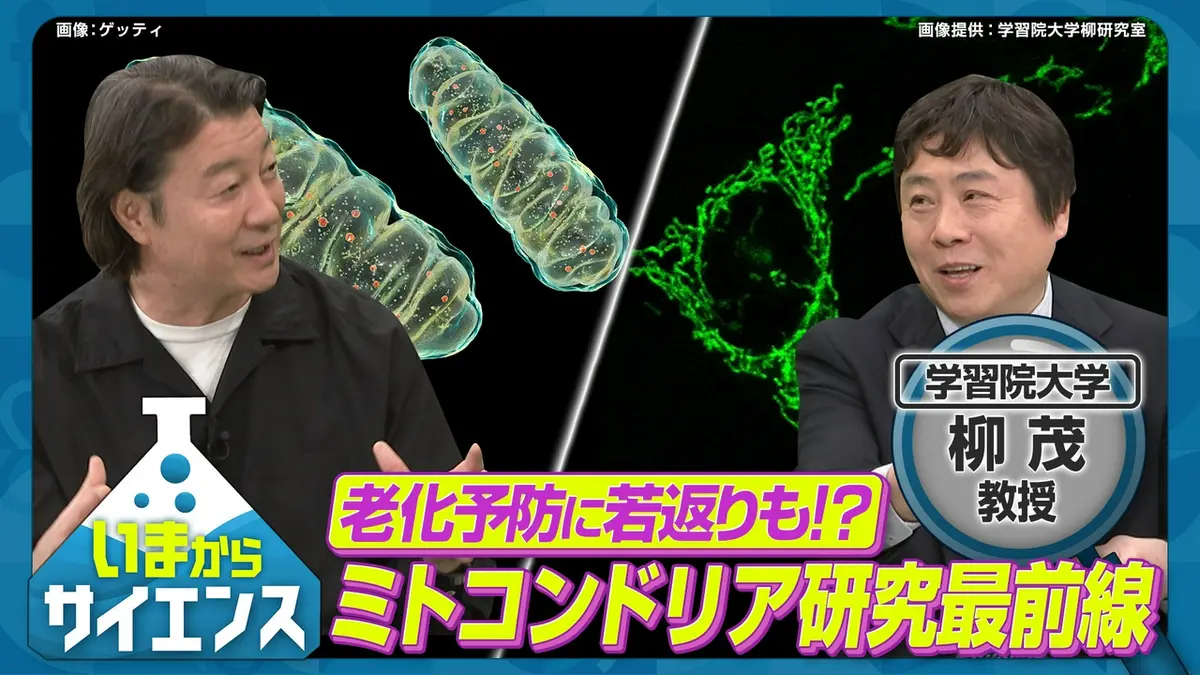 いまからサイエンス 4月15日(水)放送分 世界が注目！ミトコンドリア