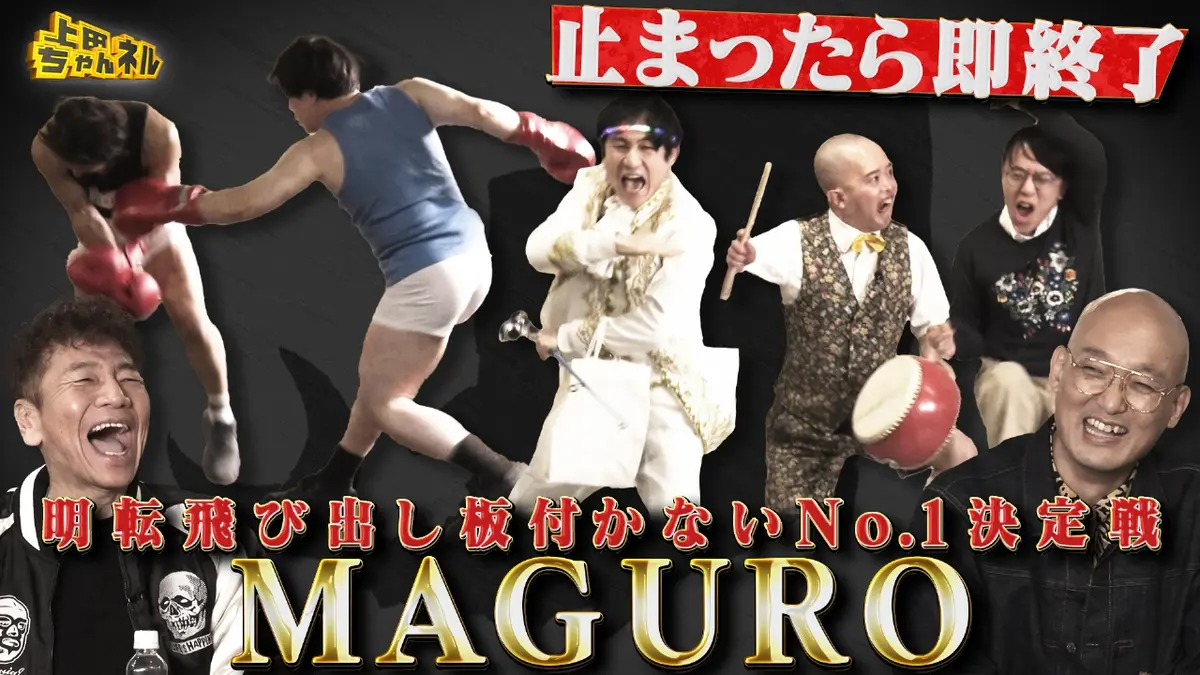 お笑い・バラエティ D4664 お笑い・バラエティ D4664 お笑い・バラエティ D4664 ZX-（ゼッペケ