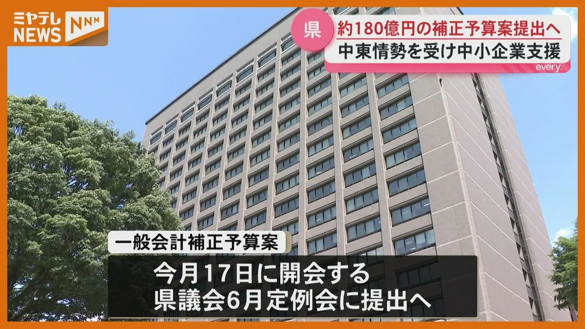 日テレNEWS NNN 6月4日(木) 19:06 宮城県が補正予算案約180億円で