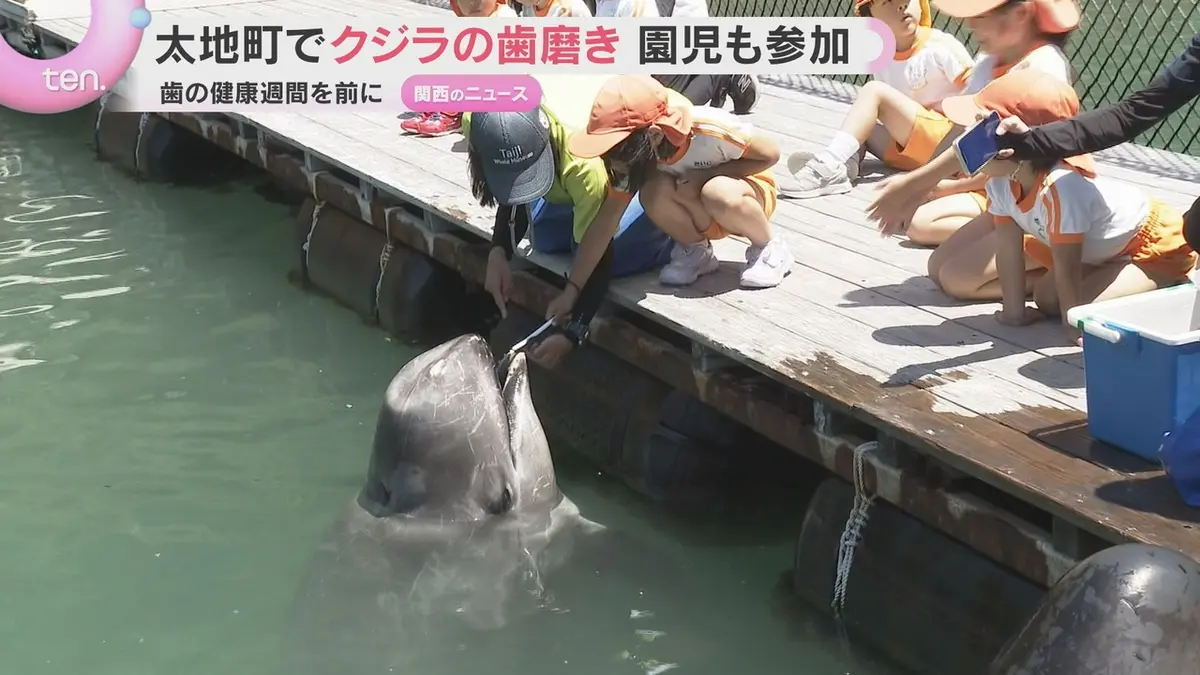 日テレNEWS NNN 6月1日(月) 19:05 「歯は小さかったけど磨くのが