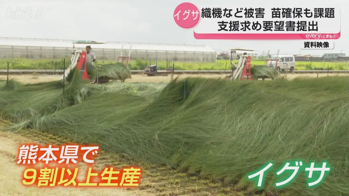 hazu　雨月18個 日テレNEWS NNN 9月8日(火) 19:39 去年は記録的大雨 ことしは地震
