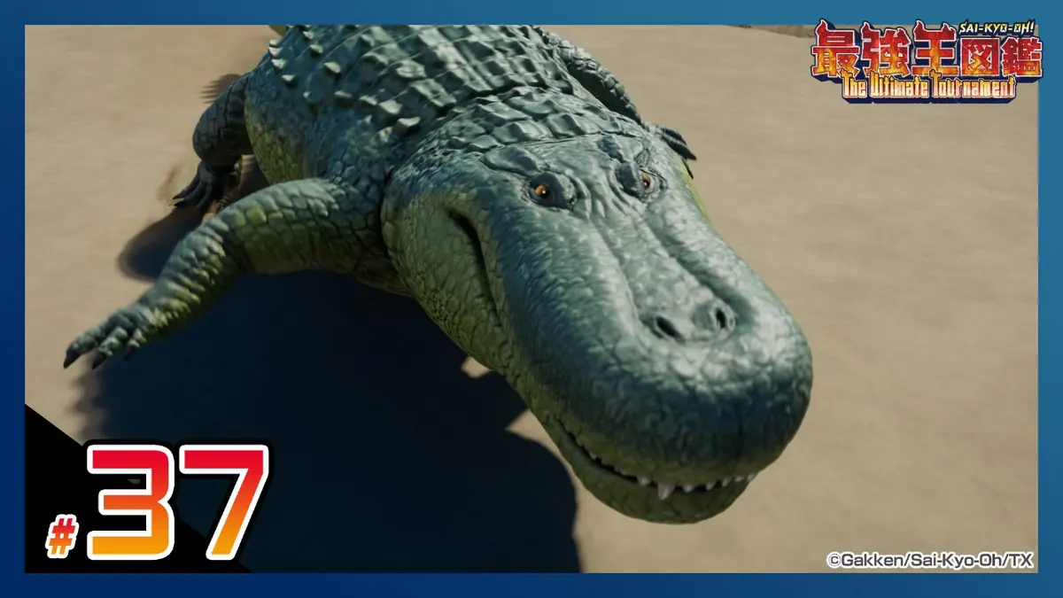 最強王図鑑 ～The Ultimate Tournament～ 12月14日(日)放送分 【マッチ