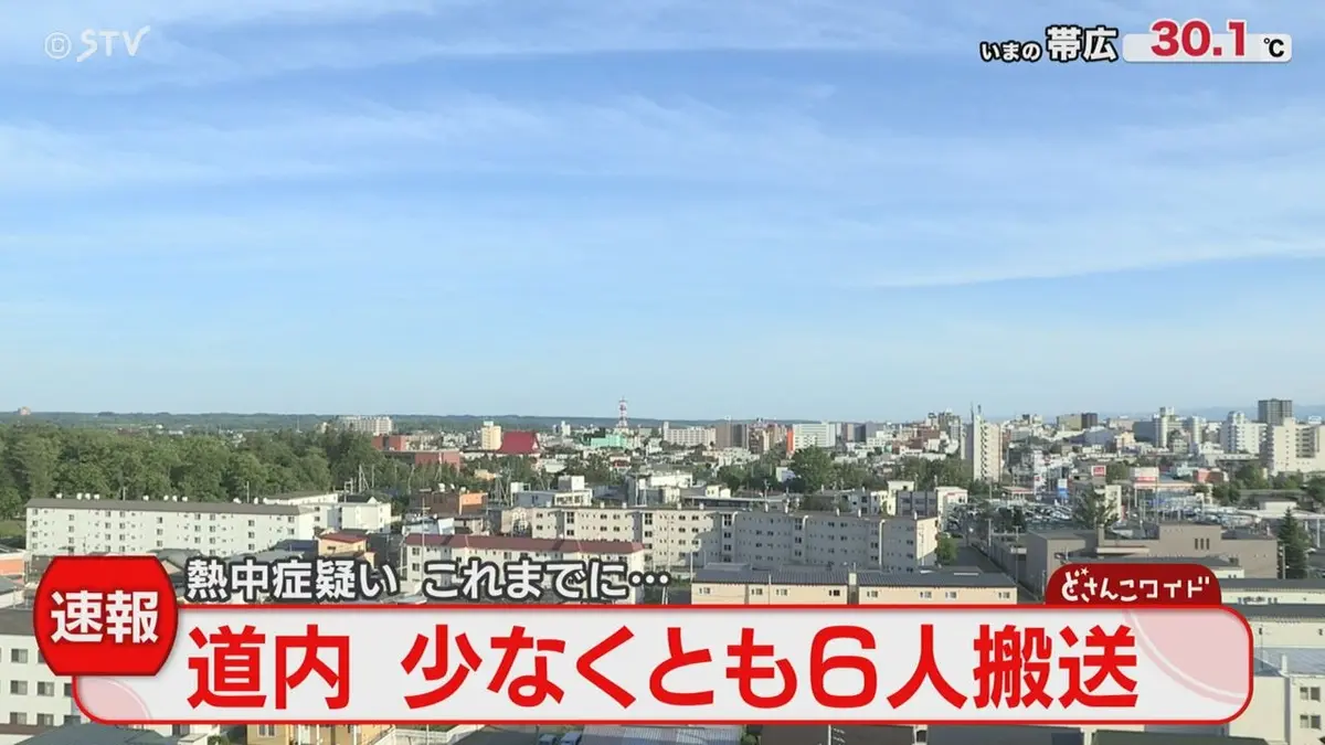 12月30日〜1月6日まで発送不可 日テレNEWS NNN 6月1日(月) 17:49 【速報】道内で6人搬送 熱中症疑い