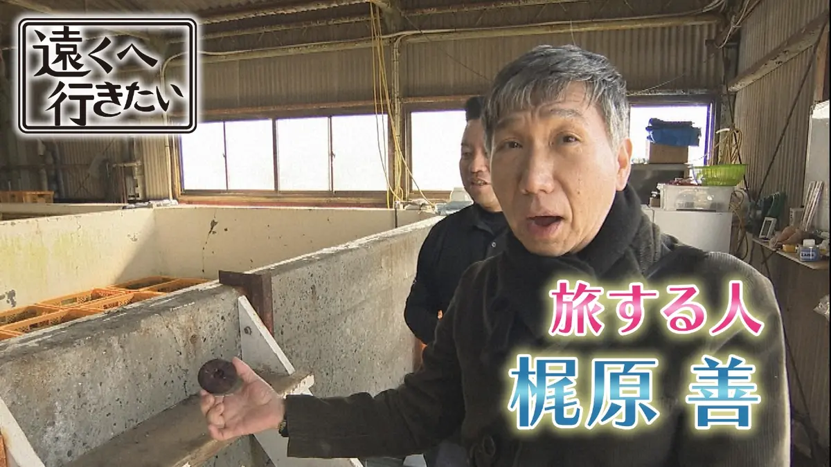 遠くへ行きたい 3月15日(日)放送分 【梶原善が香川へ】完熟レモンに