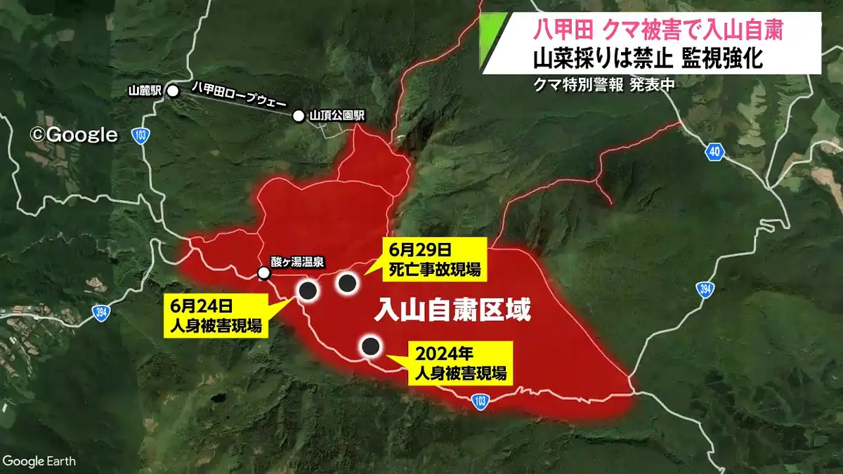 日テレNEWS NNN 6月30日(火) 17:00 八甲田 クマ被害で入山自粛を要請