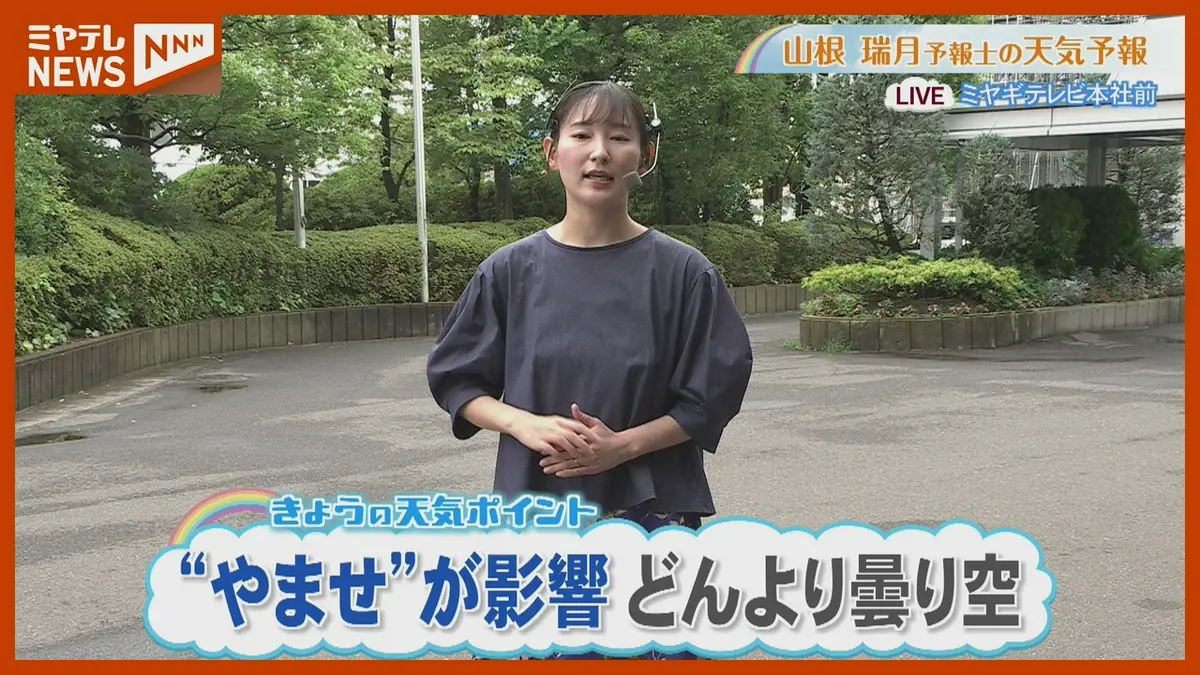日テレNEWS NNN 7月27日(月) 12:14 ”やませ”が影響 どんより曇り空 7月