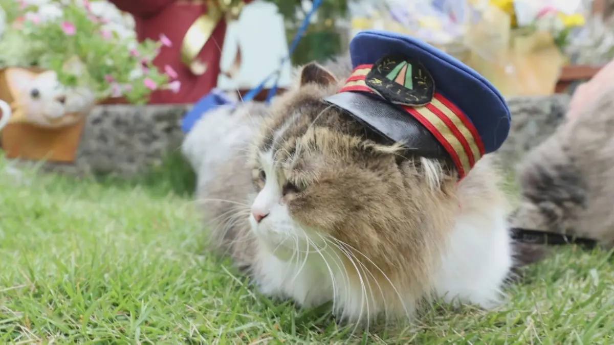 ふにゃ～り日和 10月21日(火)放送分 Vol.83 駅長は偉大だにゃ