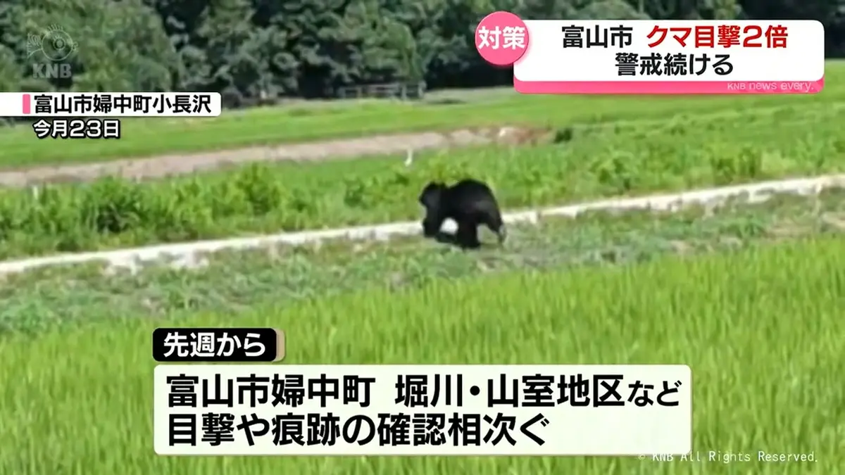 日テレNEWS NNN 7月29日(水) 20:36 富山市でクマの目撃倍増 警戒続ける