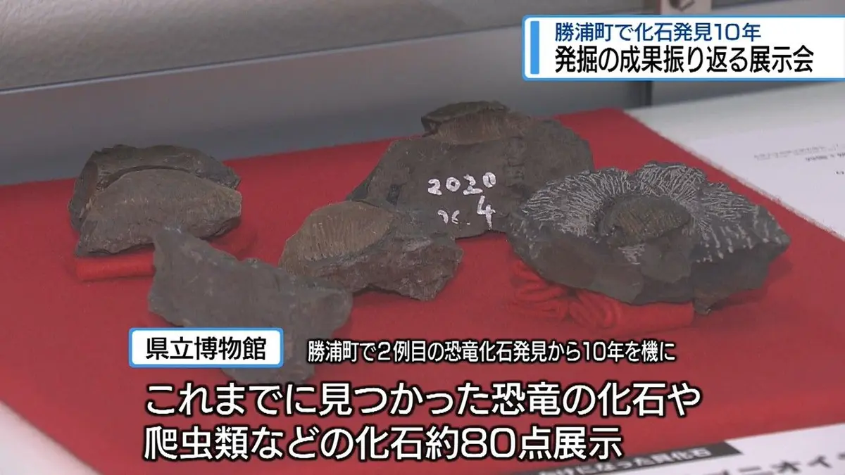 日テレNEWS NNN 9月9日(水) 18:45 勝浦町の「恐竜化石」発掘10年の成果