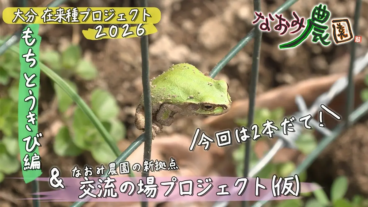 なおみ農園 5月7日(木)放送分 新拠点・交流の場プロジェクト&大分財来
