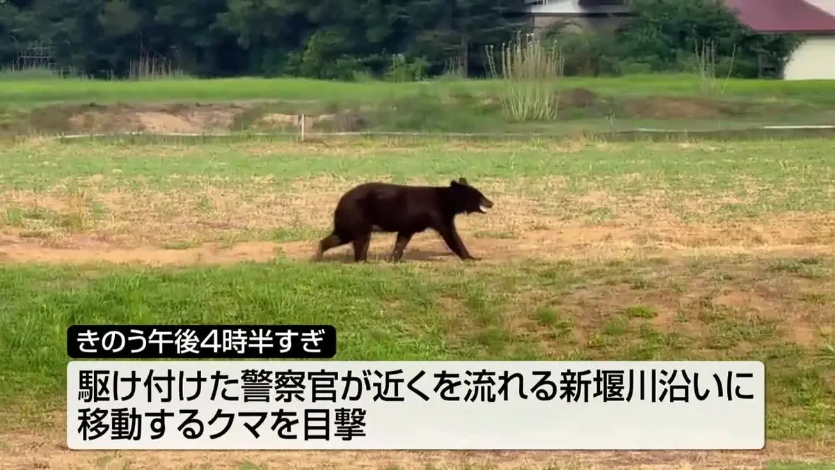 日テレNEWS NNN 7月21日(火) 13:07 【クマの目撃】北上市村崎野の住宅