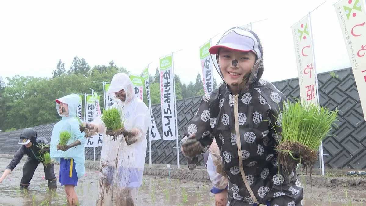 日テレNEWS NNN 5月21日(木) 19:35 小学生「楽しい」雨の中で田植え