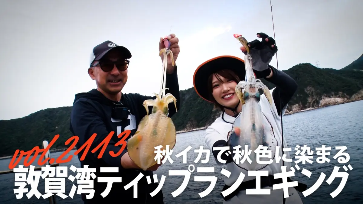 THEフィッシング 11月8日(土)放送分 秋イカで秋色に染まる 敦賀湾