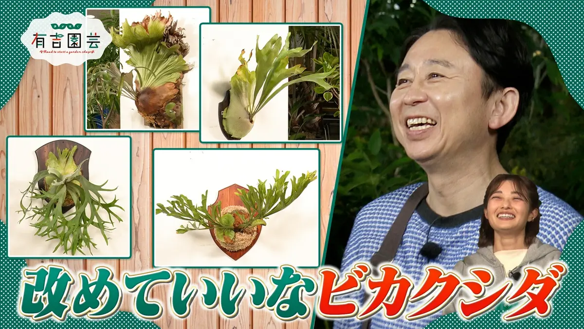 夢が咲く 有吉園芸～Road to start a garden shop～ 5月26日(火)放送分