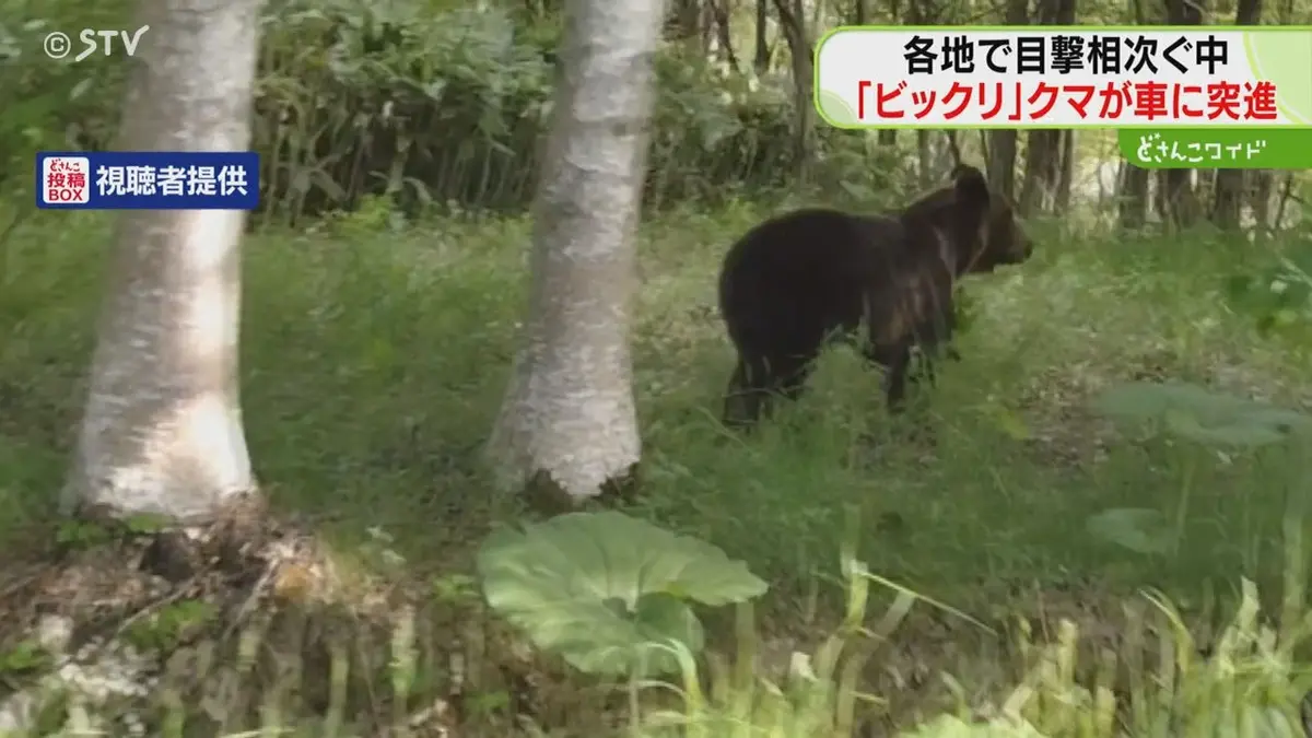 日テレNEWS NNN 5月27日(水) 18:54 【映像】車に向かってくる瞬間