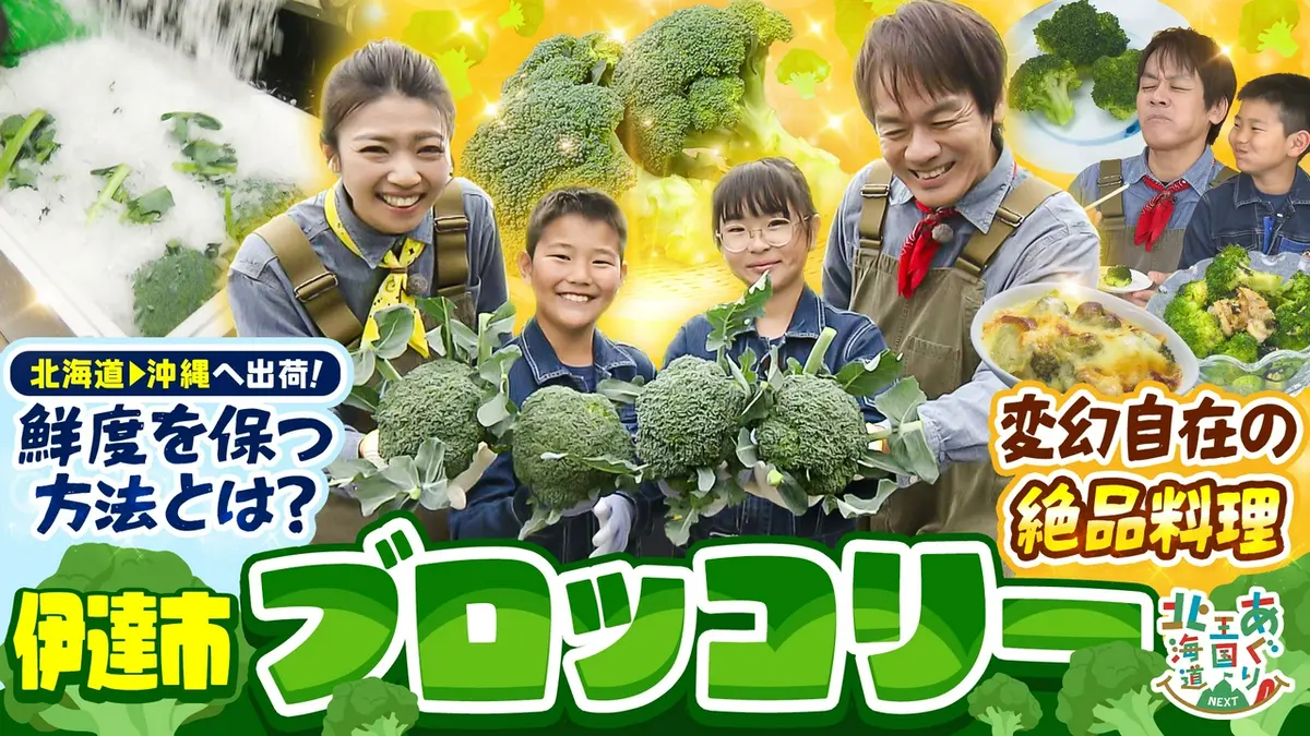 あぐり王国北海道NEXT 6月20日(土)放送分 伊達市の「ブロッコリー」に