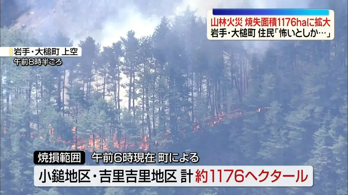 日テレNEWS NNN 4月24日(金) 12:14 山林火災、焼失面積1176haに拡大