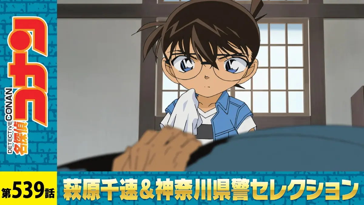 名探偵コナン 2009年放送 愚か者への遺産｜アニメ／ヒーロー｜見逃し