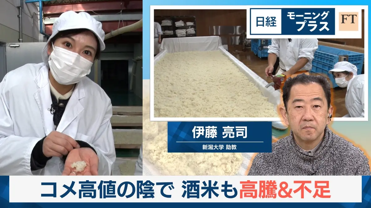 日経モープラFT 12月4日(木)放送分 コメ高値の陰で 酒米も高騰＆不足｜報道／ドキュメンタリー｜見逃し無料配信はTVer！人気の動画見放題