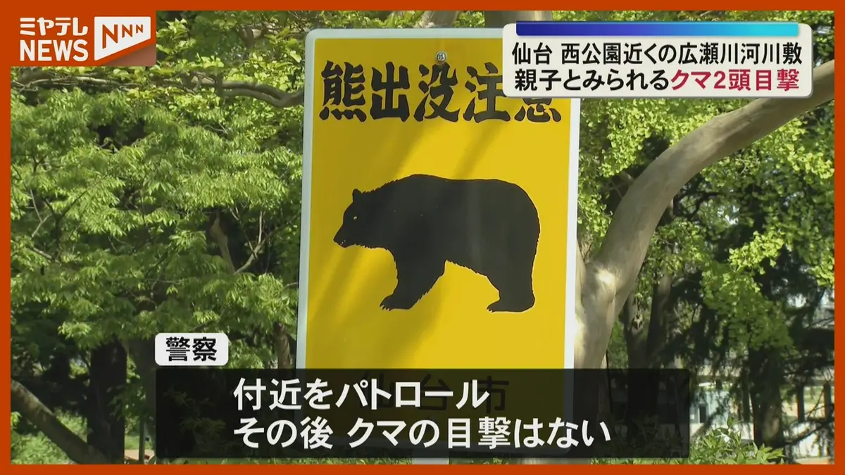 日テレNEWS NNN 5月11日(月) 12:18 【クマ目撃】仙台市中心部『西公園
