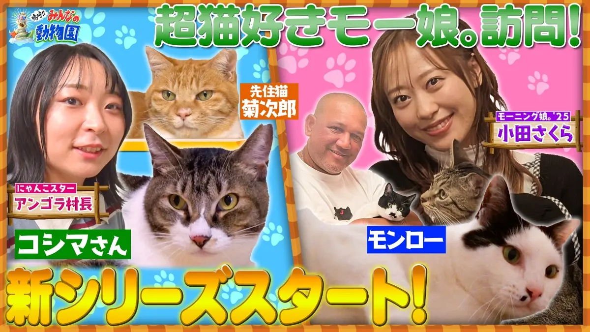 嗚呼!!みんなの動物園 12月6日(土)放送分 保護猫58匹育てたアイドル