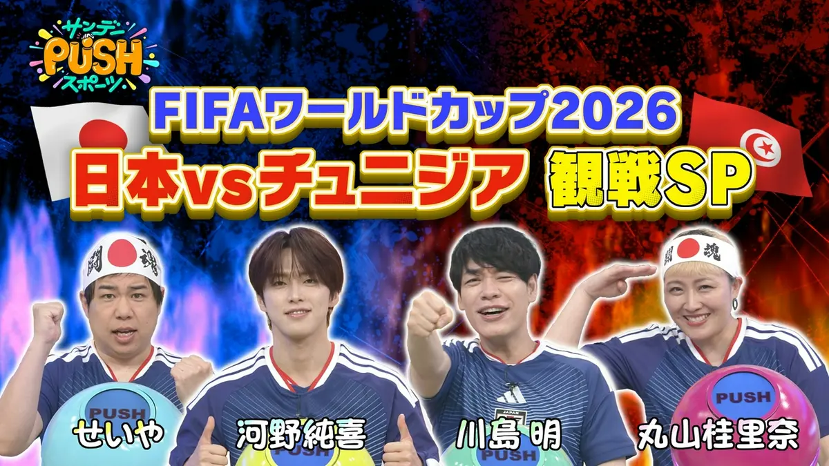 FIFA WORLD CUP 2026 応援マフラー チュニジア対日本/W杯 KF09002D013