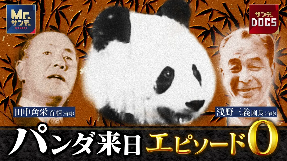 Mr.サンデーDOCS 1月25日(日)放送分 パンダ来日エピソード0 上野動物園