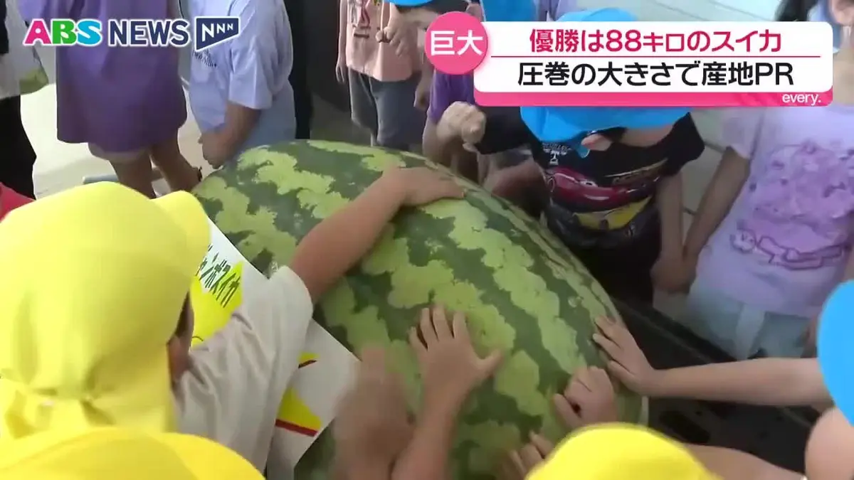 日テレNEWS NNN 8月18日(火) 18:55 食べるスイカの何倍も…県内一の