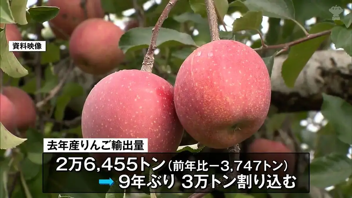 日テレNEWS NNN 9月30日(水) 11:57 りんごの年間輸出量2万6400t 9年