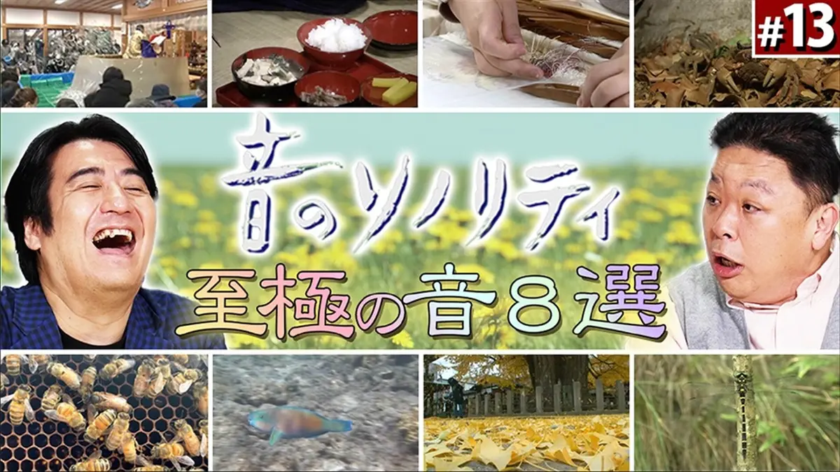 音のソノリティ(00)
