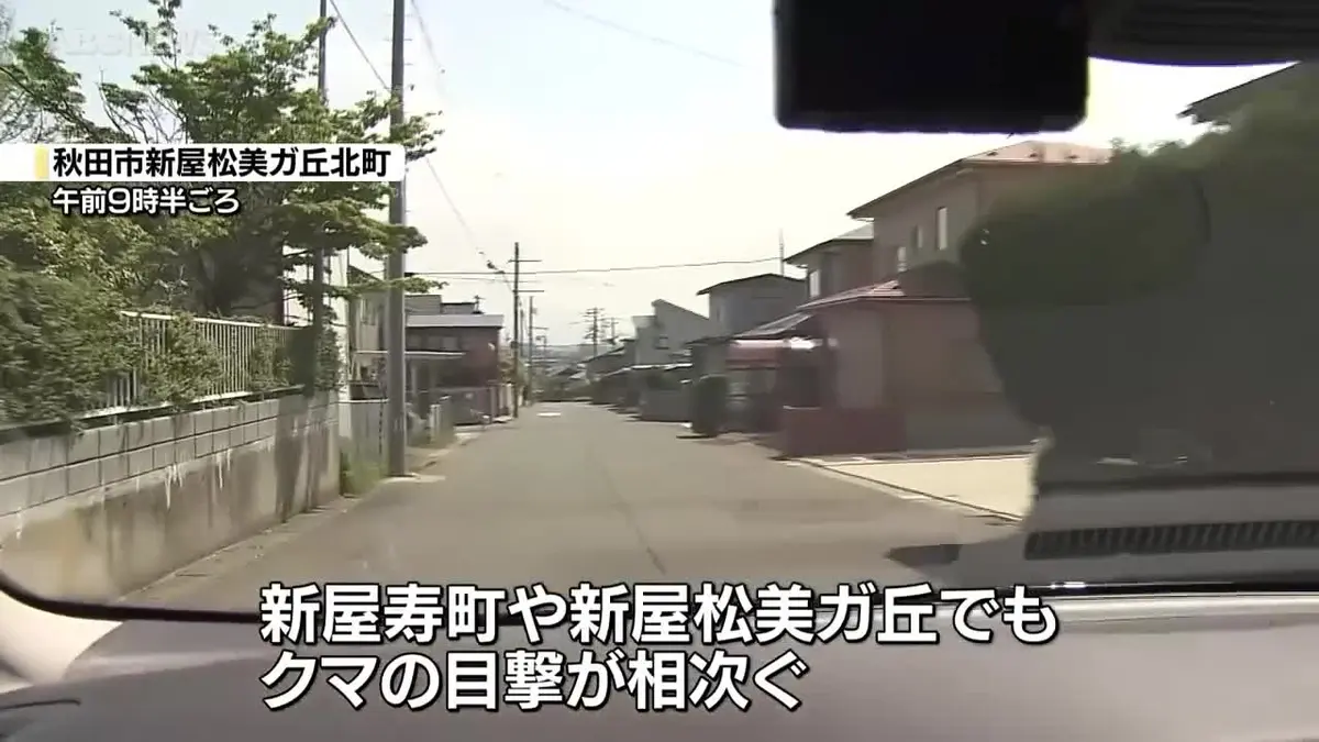 日テレNEWS NNN 5月15日(金) 11:54 秋田市新屋地区でクマの目撃相次ぐ