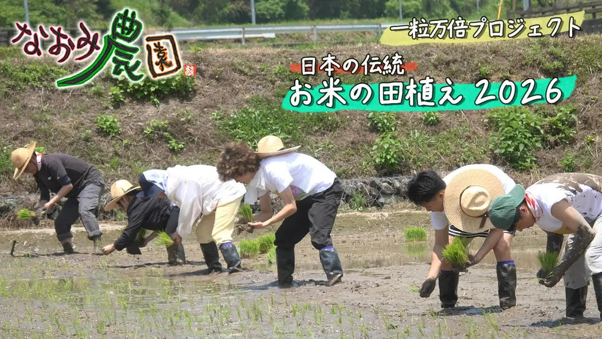 なおみ農園 6月18日(木)放送分 一粒万倍プロジェクト 日本の伝統「お米