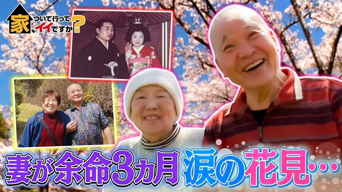 家、ついて行ってイイですか？ 3月22日(日)放送分 桜の木の下で「来世