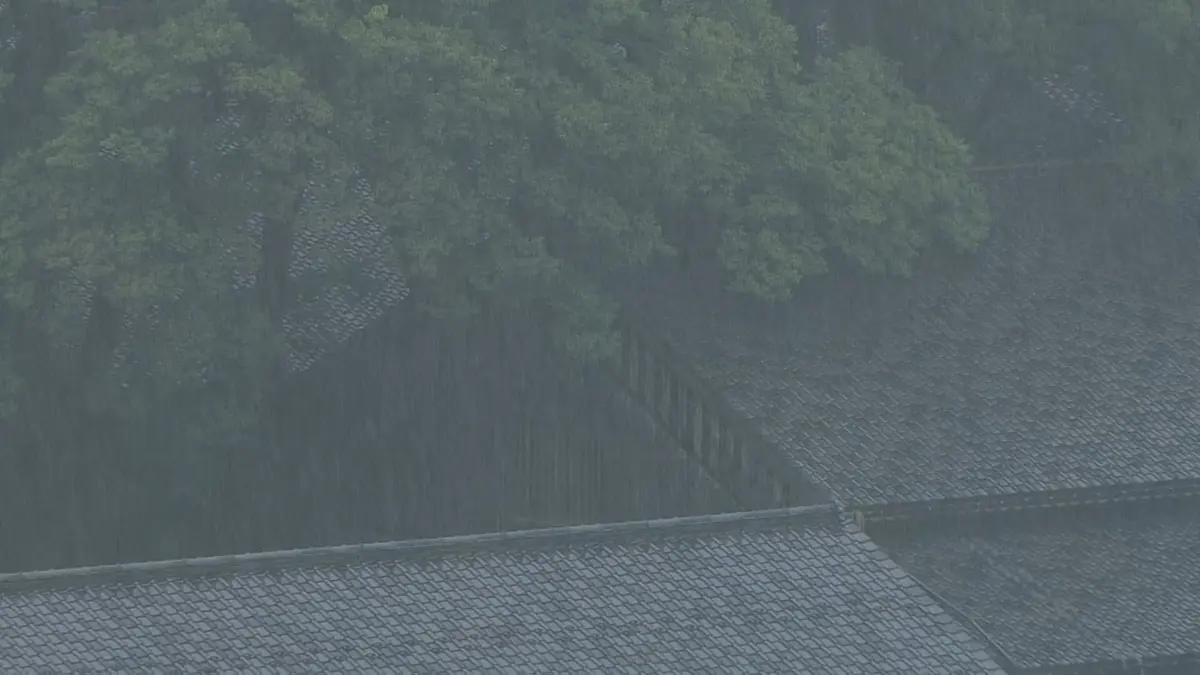 日テレNEWS NNN 8月27日(木) 20:16 山形県内は27日夜から激しい雨