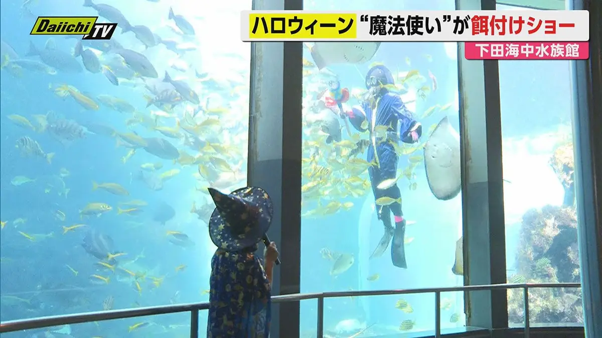 日テレNEWS NNN 10月9日(金) 19:51 “魔法使い”が大水槽に登場 下田海中