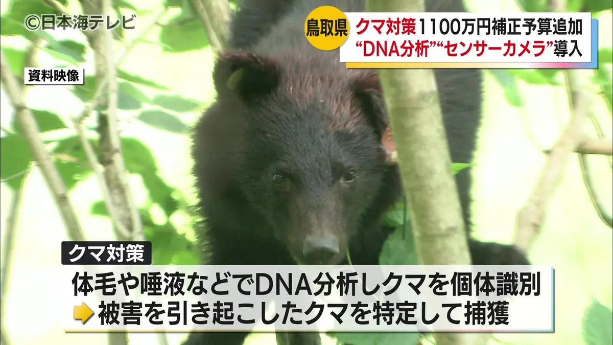 日テレNEWS NNN 5月28日(木) 18:51 クマ対策強化のため約1100万円を6月