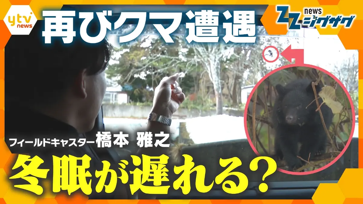 サタデーLIVE ニュース ジグザグ 11月22日(土)放送分 ジグザグカメラも