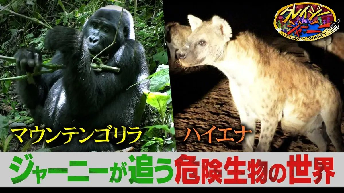 クレイジージャーニー 5月18日(月)放送分 これまでジャーニーたちが