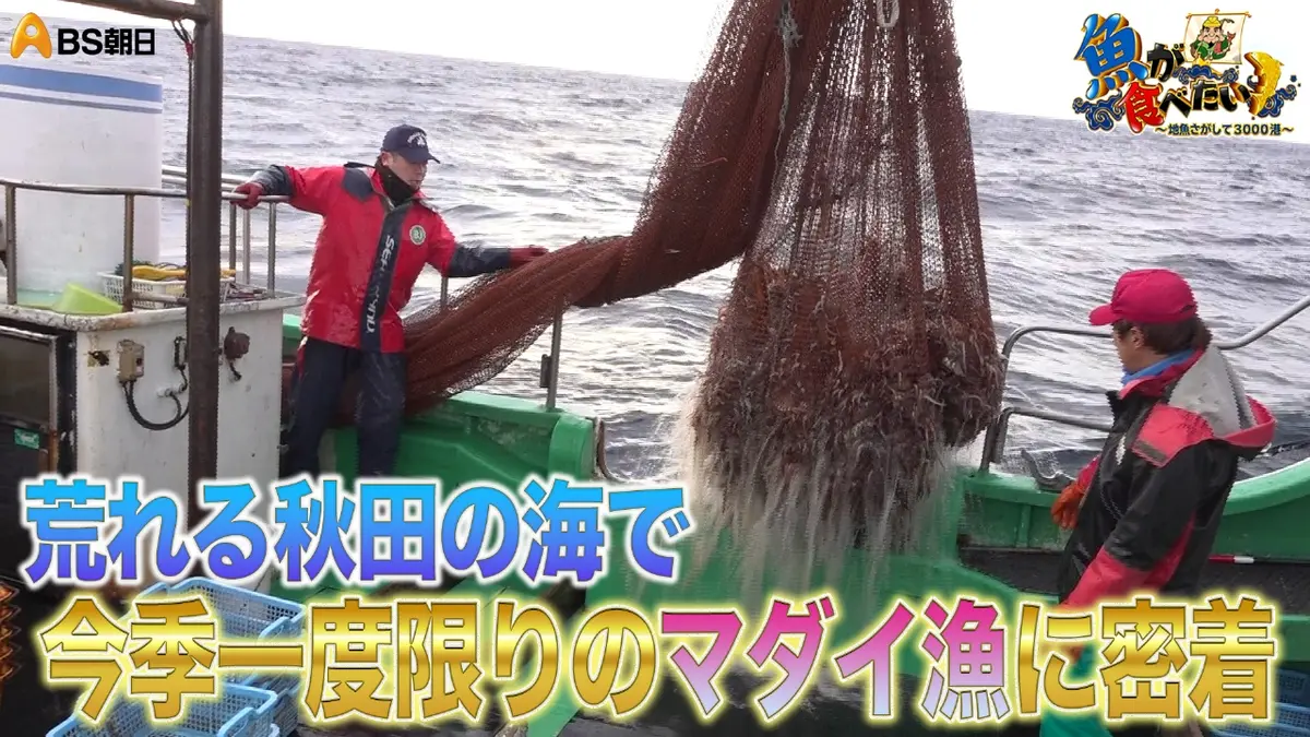 魚が食べたい！ ～地魚さがして3000港～ 3月4日(水)放送分 秋田で脂