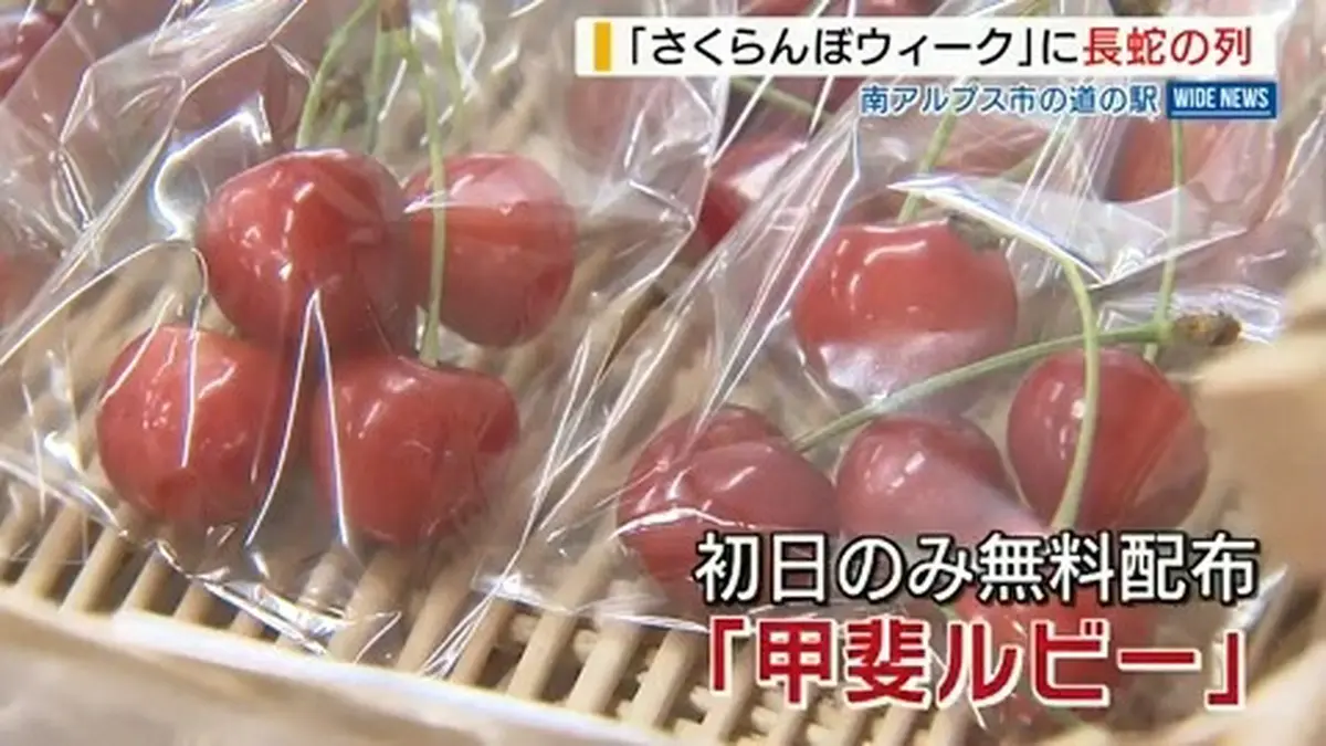 ★蛇雄　「さくらんぼ日記」★ 日テレNEWS NNN 5月21日(木) 20:01 直売所に長蛇の列！「さくらんぼ