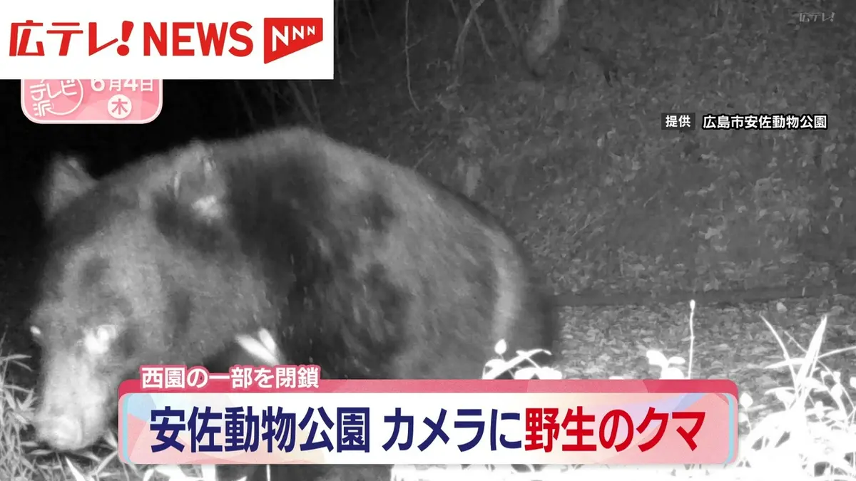 日テレNEWS NNN 6月4日(木) 19:20 広島市・安佐動物公園のカメラに野生
