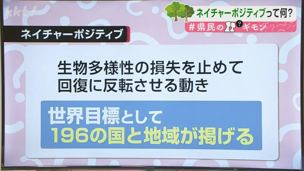日テレNEWS NNN 7月8日(水) 20:13 知っていますか?「ネイチャー